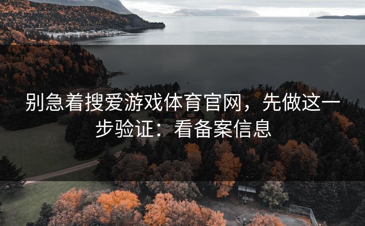 别急着搜爱游戏体育官网，先做这一步验证：看备案信息