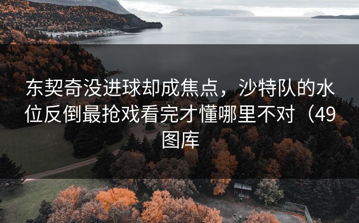 东契奇没进球却成焦点，沙特队的水位反倒最抢戏看完才懂哪里不对（49图库